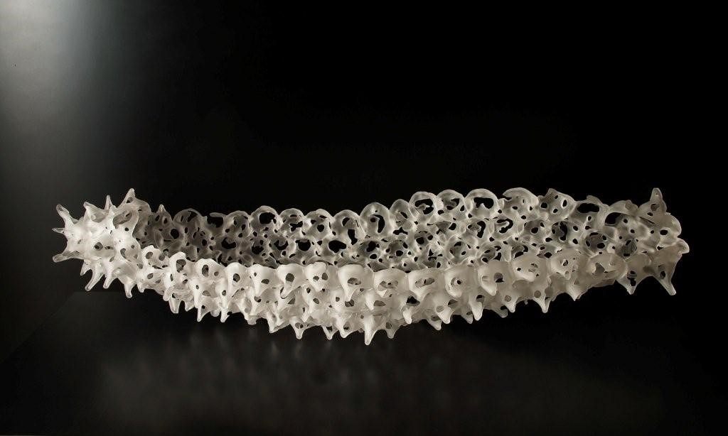 謎多き観察者「根子」(佐々木未来金箔押しサイン入り) chaos 未来の僕